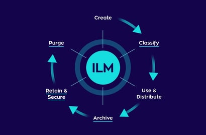 information lifecycle management graph.