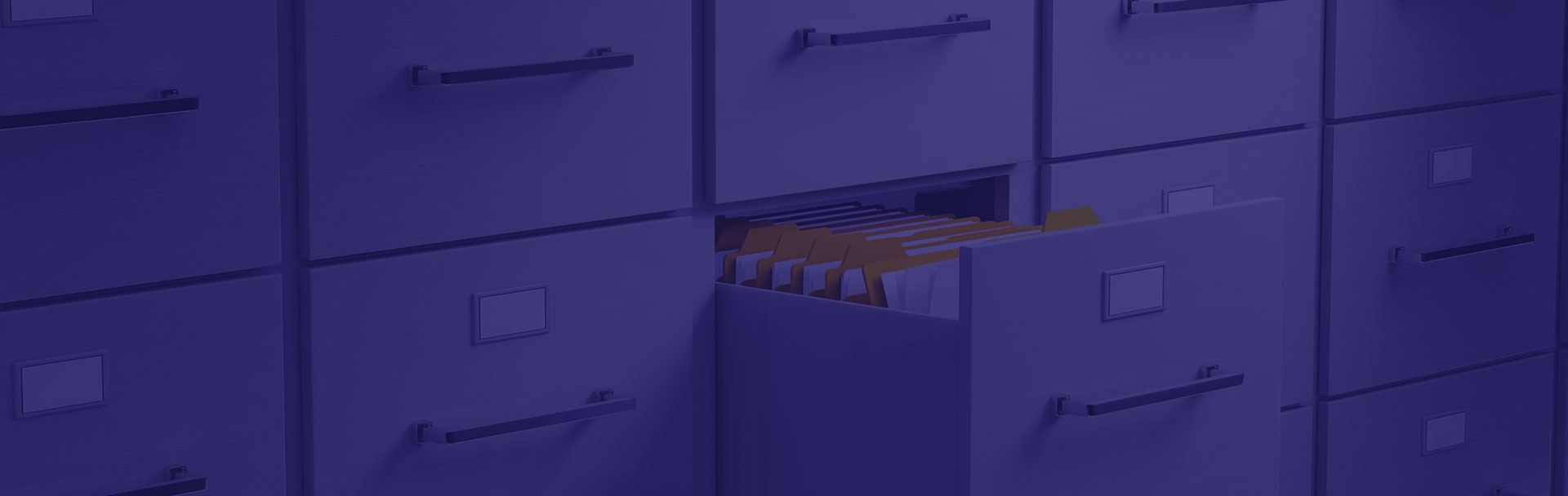 CleanSweep File Manager SuiteApp for NetSuite File